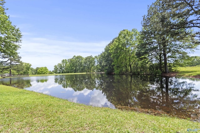 1025 Berkley Rd, Arab, AL 35016 - water view
