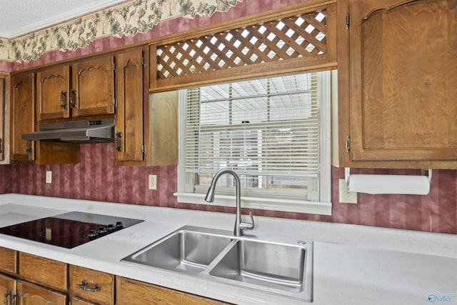 1025 Berkley Rd, Arab, AL 35016 - kitchen with under cabinet range hood, light countertops, a sink, black electric cooktop, and brown cabinets