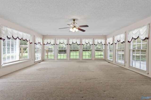1025 Berkley Rd, Arab, AL 35016 - unfurnished sunroom featuring french doors, carpet, and a textured ceiling