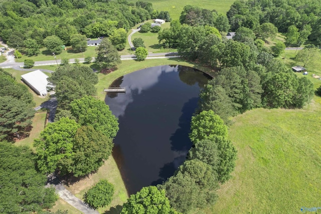 1025 Berkley Rd, Arab, AL 35016 - bird's eye view of a nearby body of water
