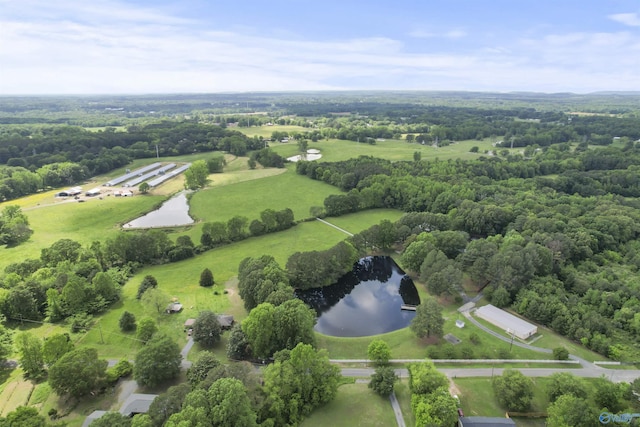 1025 Berkley Rd, Arab, AL 35016 - aerial view of a nearby body of water