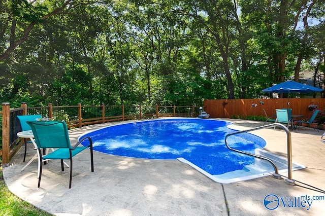 view of pool featuring a patio area