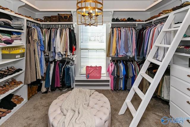 walk in closet with an inviting chandelier and dark carpet