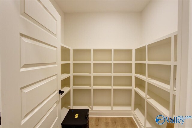 13888 Mallard Dr, Madison, AL 35756 - view of pantry