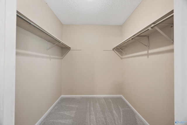 walk in closet featuring carpet flooring