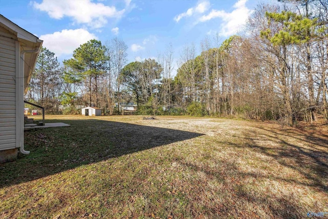 view of yard featuring a storage unit