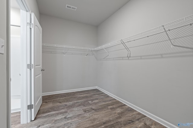 spacious closet with dark wood-type flooring