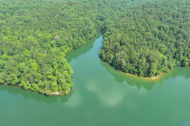 83ACRESCLCK Smith Lk, Double Springs AL, 35553 land for sale