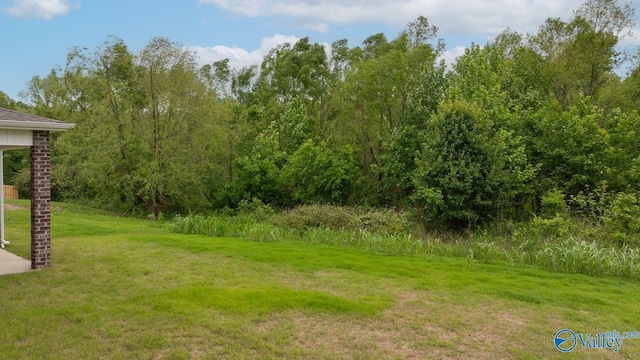 140 Amelia Dr, Harvest, AL 35749 - view of green lawn