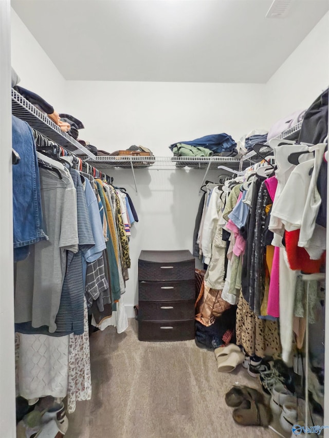 walk in closet featuring carpet floors