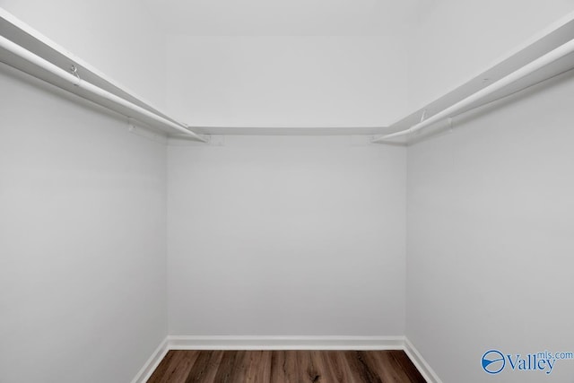 walk in closet with dark wood-type flooring