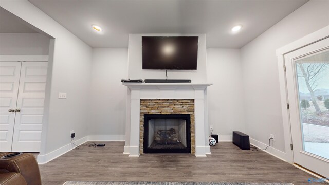 living room with hardwood / wood-style floors, a stone fireplace, and a healthy amount of sunlight