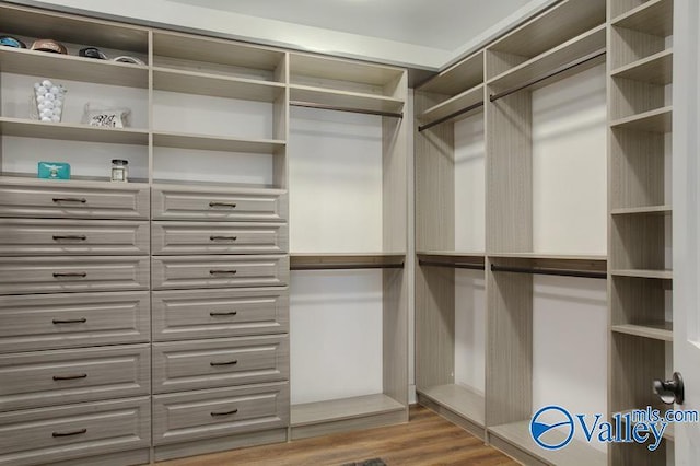 walk in closet with wood finished floors