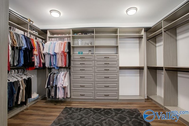 walk in closet featuring wood finished floors