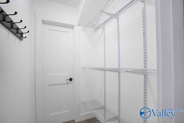 view of walk in closet