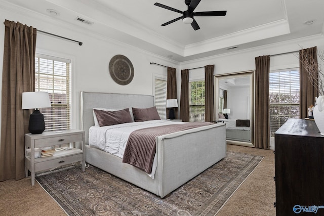 bedroom with a tray ceiling and multiple windows