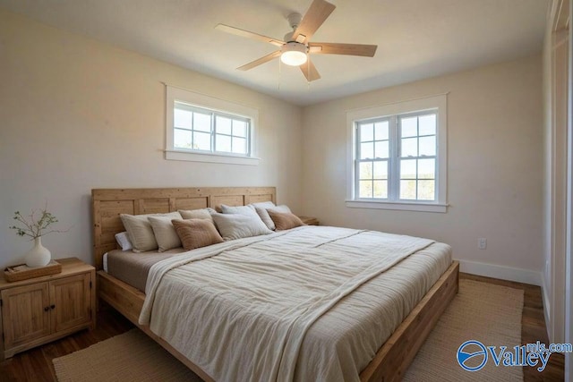 bedroom featuring multiple windows, dark wood-style floors, baseboards, and ceiling fan