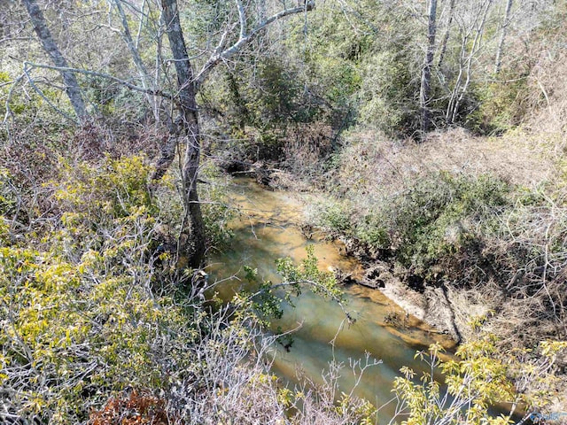 view of local wilderness with a view of trees