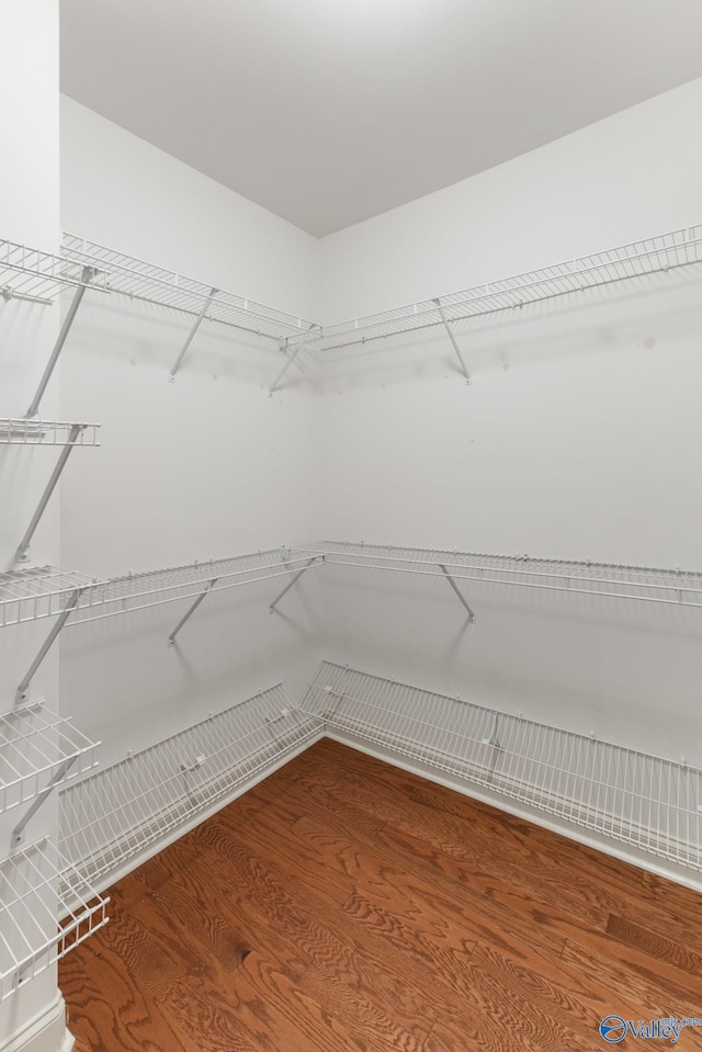 spacious closet featuring wood finished floors