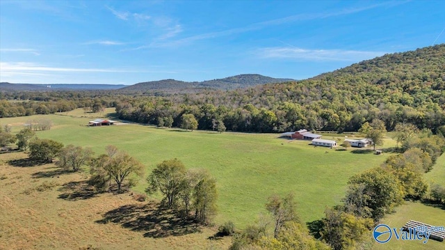 aerial view with a mountain view and a rural view