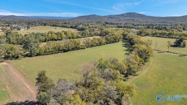 bird's eye view featuring a mountain view