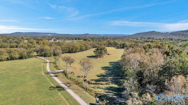 drone / aerial view with a mountain view