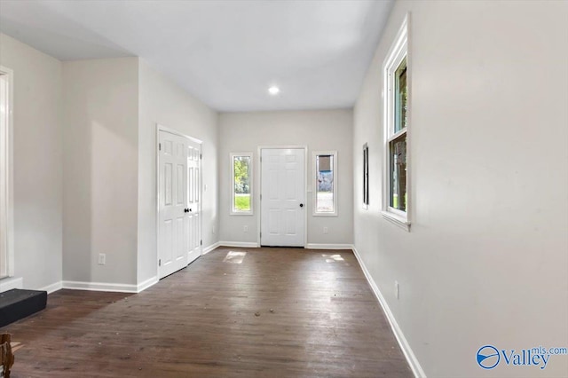 foyer entrance featuring dark hardwood / wood-style floors