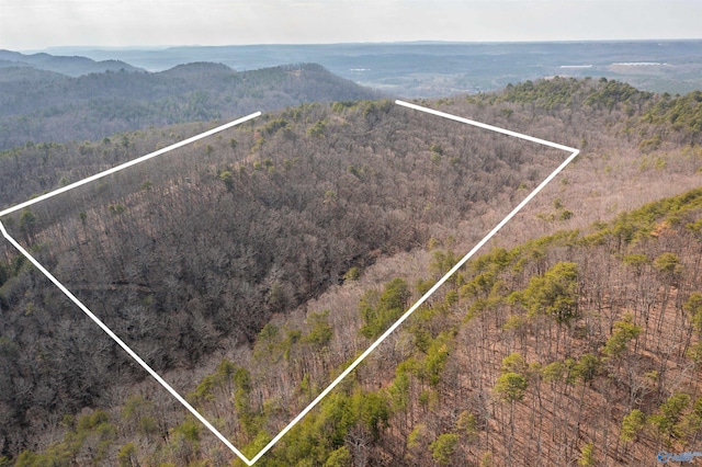 40 Little Wills Valley Rd, Attalla AL, 35954 land for sale