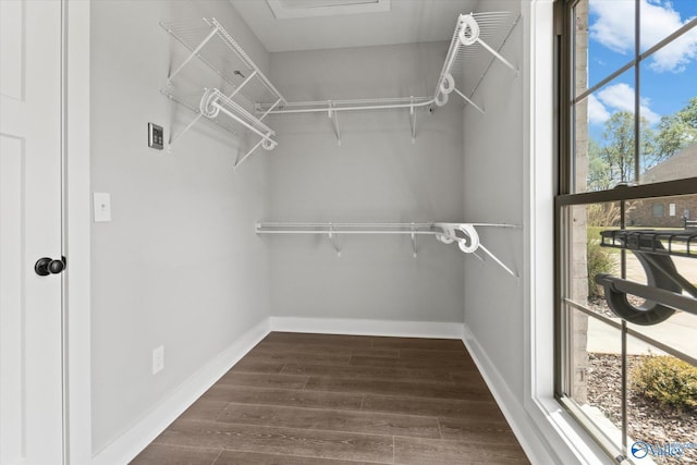 spacious closet featuring dark hardwood / wood-style floors