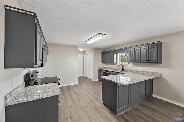 kitchen with sink, light hardwood / wood-style flooring, stainless steel electric range, and gray cabinets