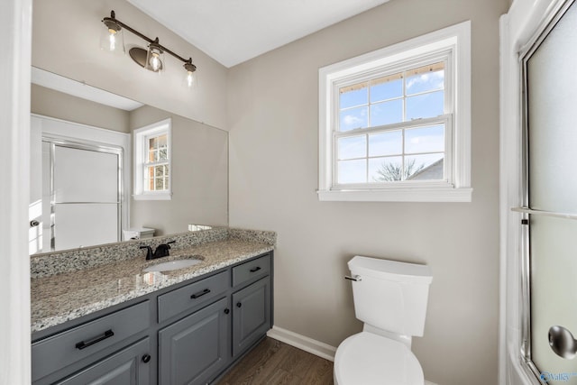 bathroom featuring vanity, a healthy amount of sunlight, walk in shower, and wood-type flooring