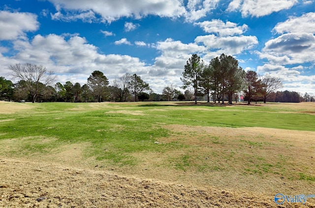 view of community with a lawn