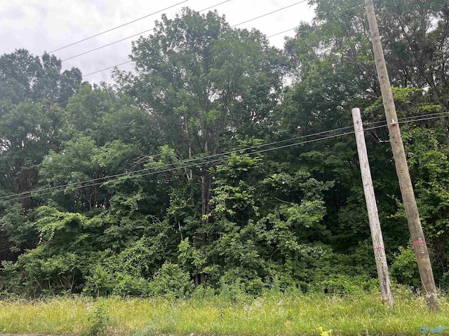 5.9ACRES 14th Ave SW, Decatur AL, 35603 land for sale