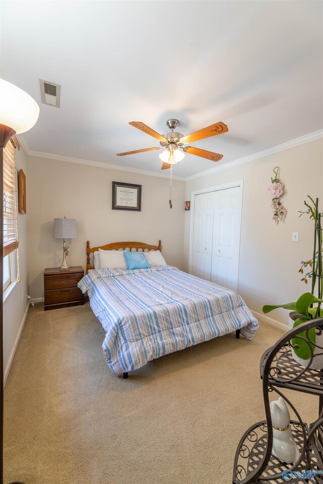 bedroom with carpet flooring, crown molding, visible vents, and baseboards