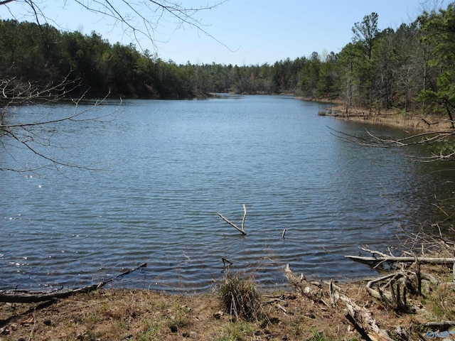 1876 County Road 684, Flat Rock AL, 35966 land for sale