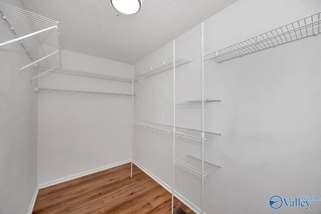 walk in closet featuring hardwood / wood-style flooring