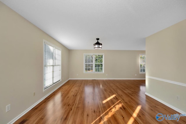 empty room with hardwood / wood-style flooring and plenty of natural light