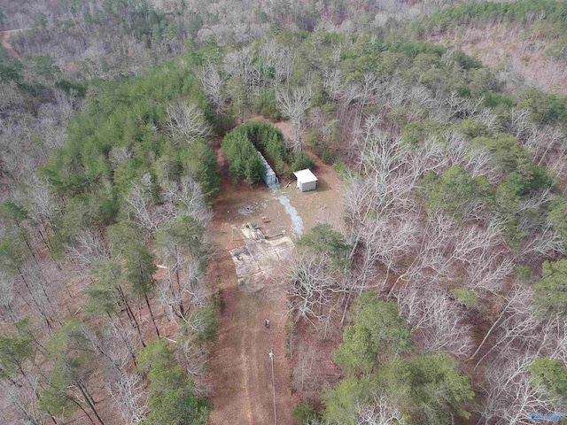 1030 County Road 202, County AL, 36272 land for sale