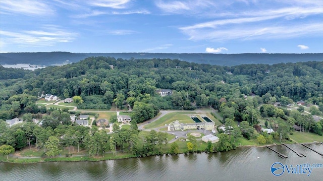 bird's eye view featuring a water view and a view of trees