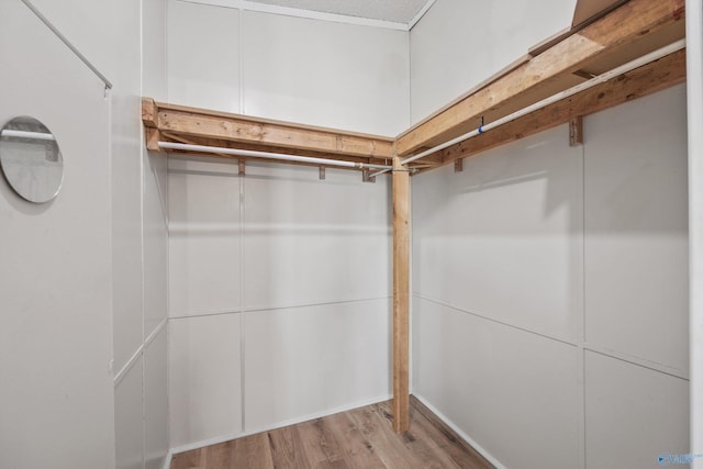 spacious closet featuring light wood-type flooring