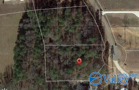 Listing photo 3 for 215 Freeman Dr, Rogersville AL 35652