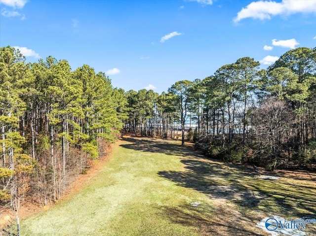 Listing photo 3 for 711 John Cabaniss Rd, Langston AL 35755