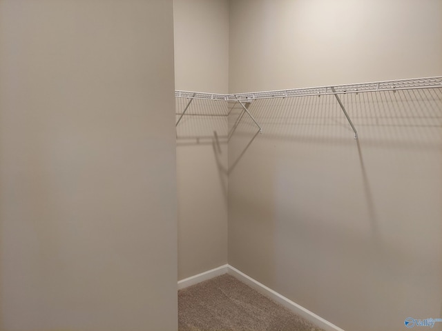 walk in closet with carpet