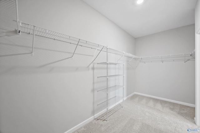 spacious closet with carpet floors