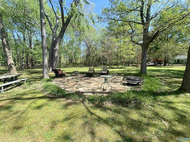 1702 Roseberry Dr, Scottsboro, AL 35769 - view of yard featuring a patio area and an outdoor fire pit