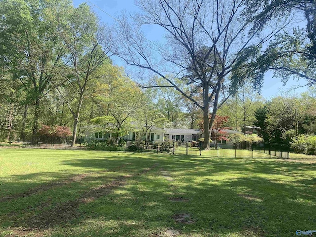 1702 Roseberry Dr, Scottsboro, AL 35769 - view of yard with fence