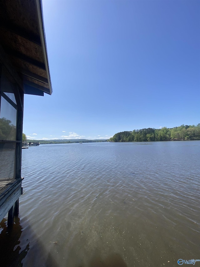 1702 Roseberry Dr, Scottsboro, AL 35769 - view of water feature