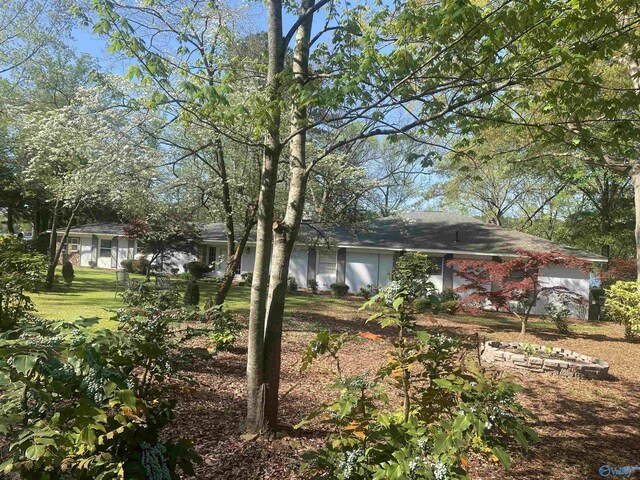 1702 Roseberry Dr, Scottsboro, AL 35769 - view of yard