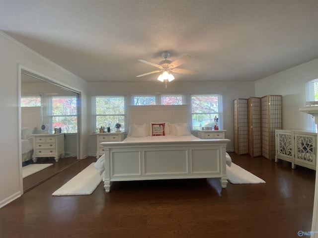 1702 Roseberry Dr, Scottsboro, AL 35769 - bedroom with dark wood-style floors, ceiling fan, and multiple windows