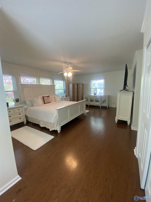 1702 Roseberry Dr, Scottsboro, AL 35769 - bedroom with dark wood-style floors, multiple windows, ceiling fan, and baseboards